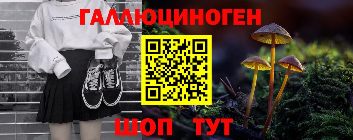 Курчалой  Галлюциногенные грибы мицелий  Вход с VPN 